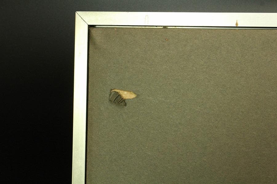 山口華楊 図案 染め裂 額装 西陣 呉服屋蔵 美品(K-LC933) - メルカリ