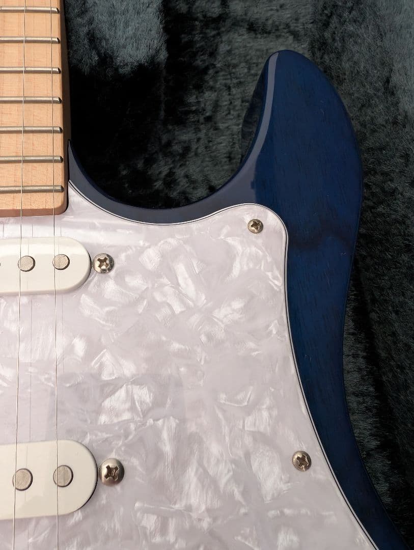 フジゲン Expert ODYSSEY EOS-ASH-M/SBB 中古 - メルカリ