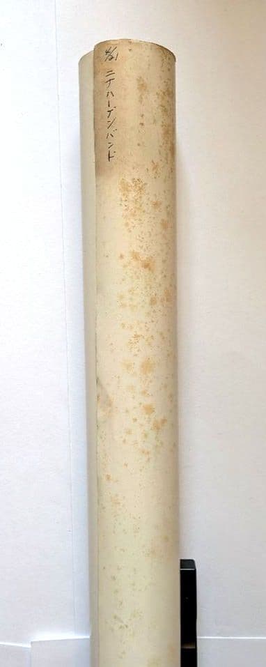 ニナ ハーゲン バンド/ウンバハーゲン 1979年 日本限定 貴重プロモ