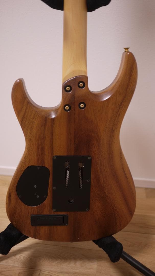 FERNANDES REVOLVER FR-100 モンキーポッド - メルカリ