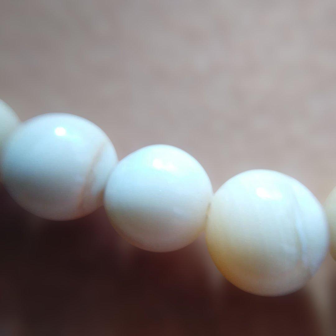 鯨歯 マッコウ鯨 牙玉ブレスレット 19㎝ - メルカリ