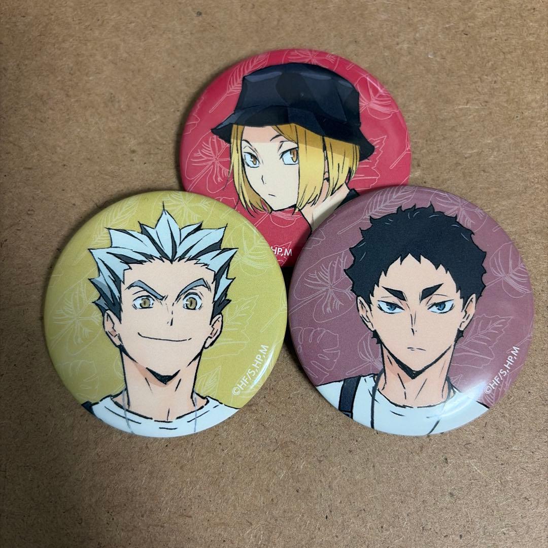 ハイキュー 東武動物公園コラボ 缶バッジ3個セット - メルカリ