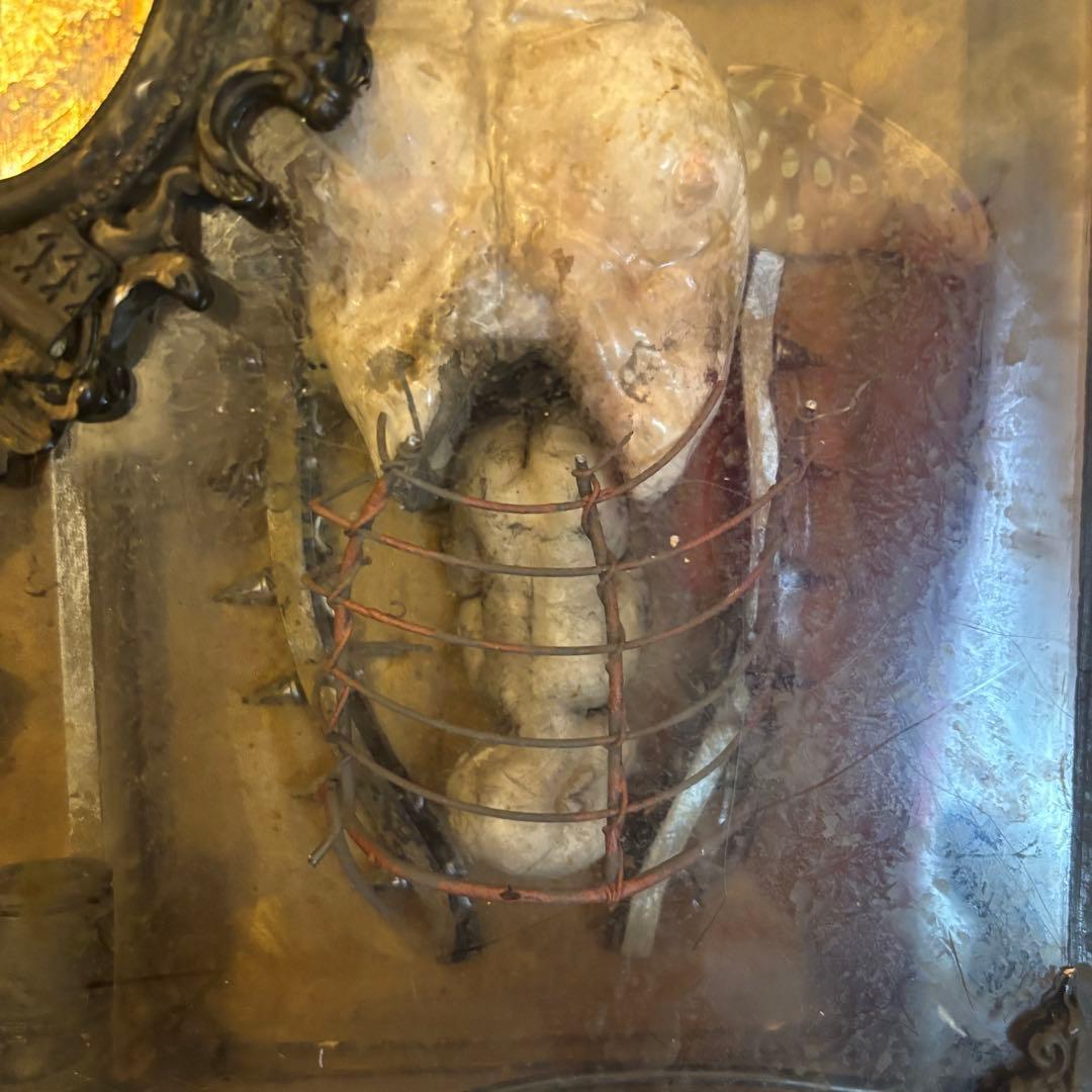 【Special Price】 幼女解剖学オブジェ