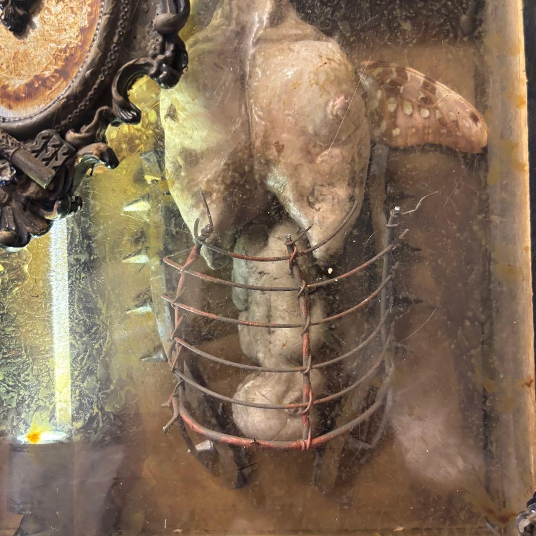 【Special Price】 幼女解剖学オブジェ