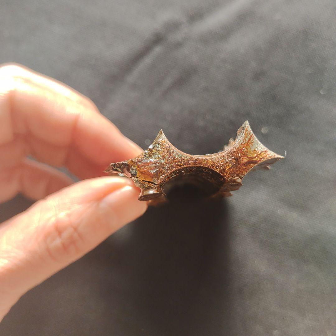 パラサイト隕石　セリコ隕石　87.8g