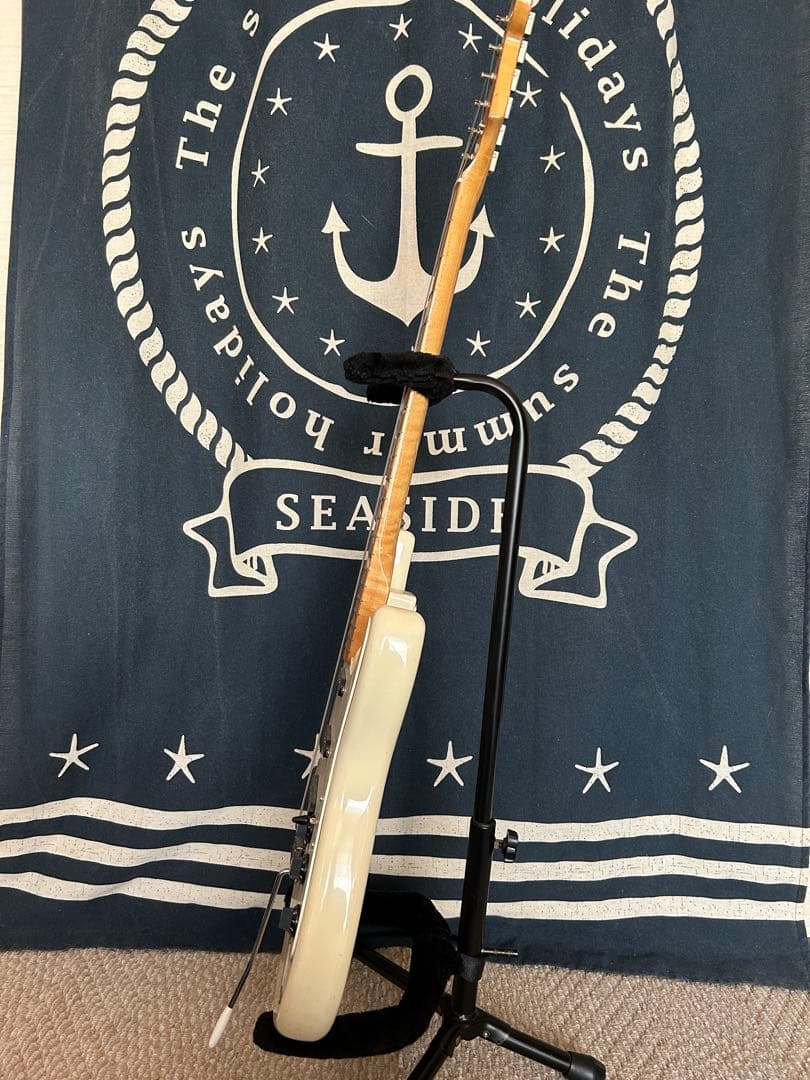 完売‼️売り切れました‼️