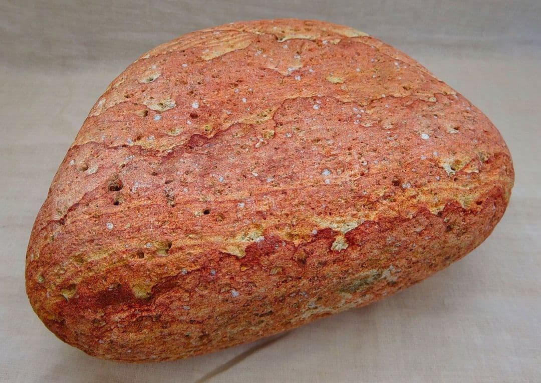 超レア!!姫川薬石赤虎(14)