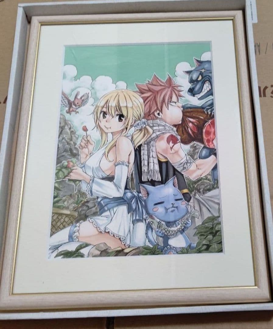 フェアリーテイル 61BTkE4VEaL._AC_UF350,