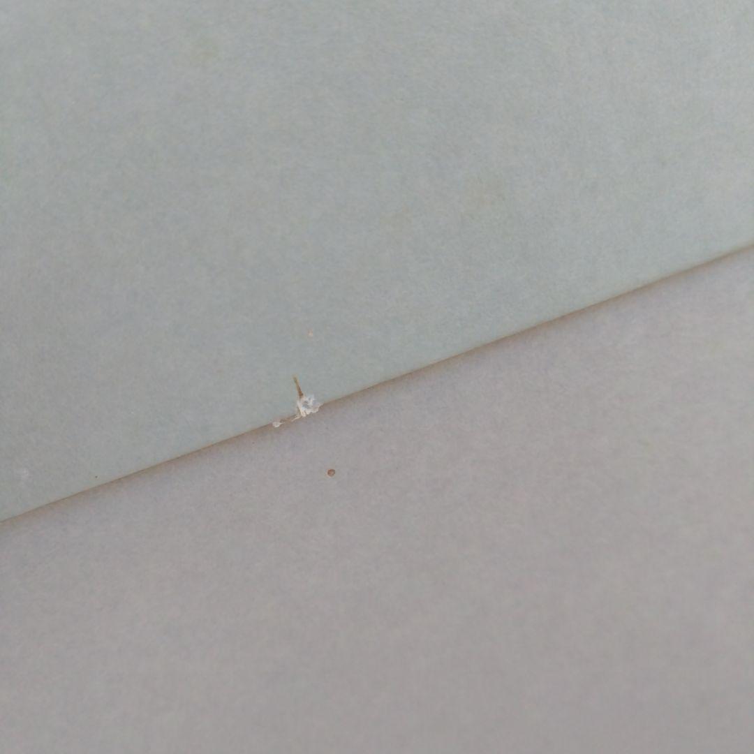 BERNARDAUDカラウォーカー水差しピッチャー1000点限定インテリア雑貨