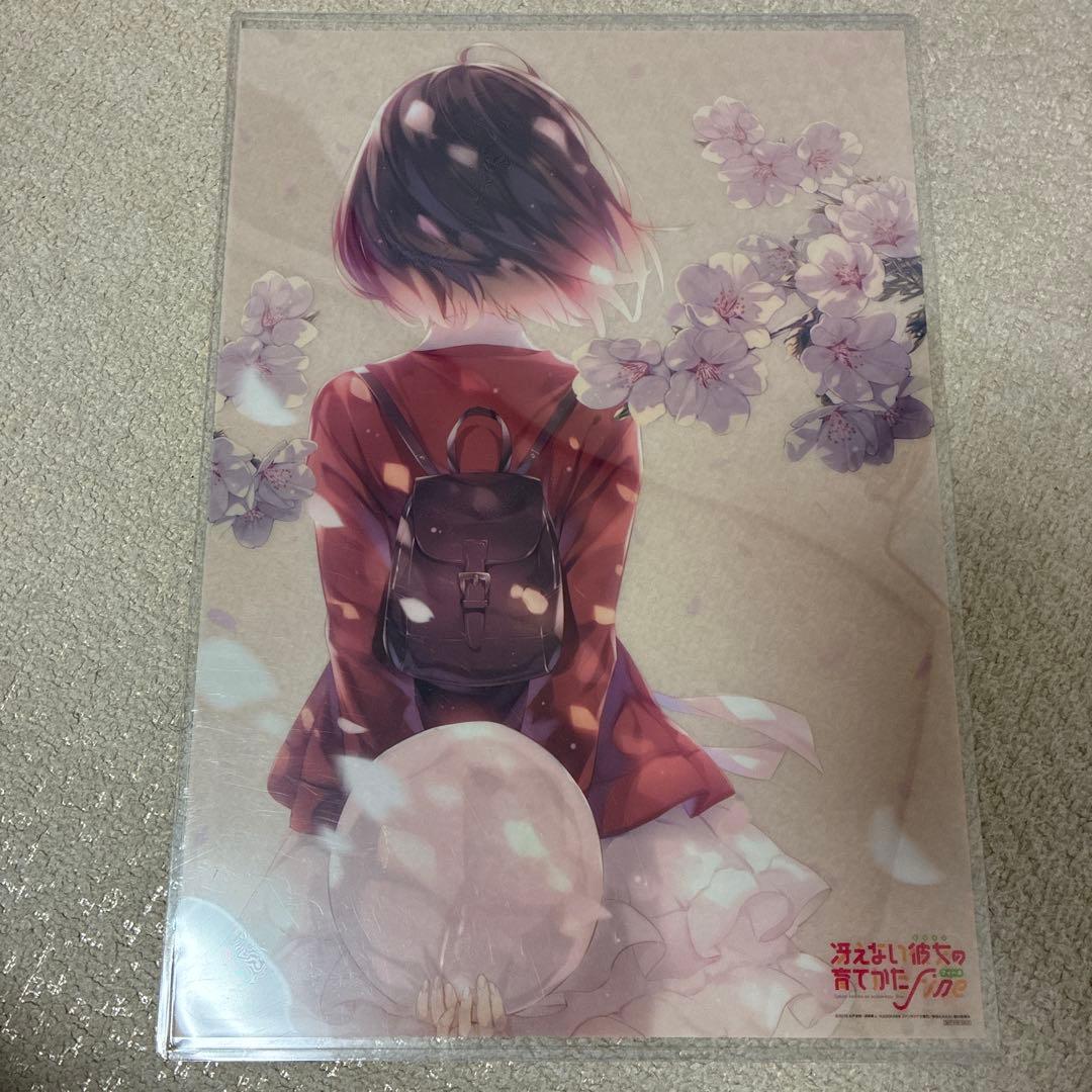 劇場版 冴えない彼女の育てかた Fine前売券特典 A3クリアポスター2枚