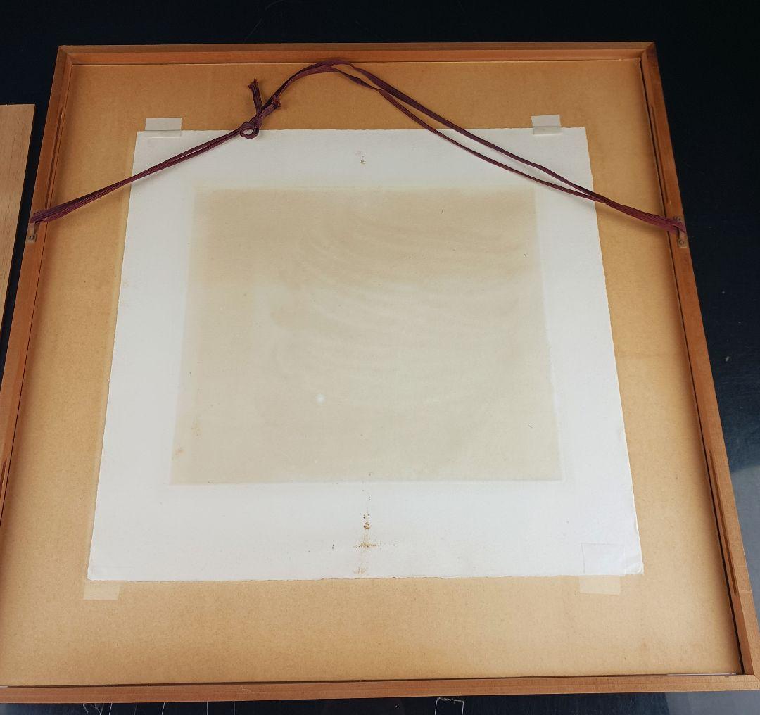 ues-20 広島の名画家 殿敷侃 版画 シダ 限定50部 図録掲載作品 - メルカリ