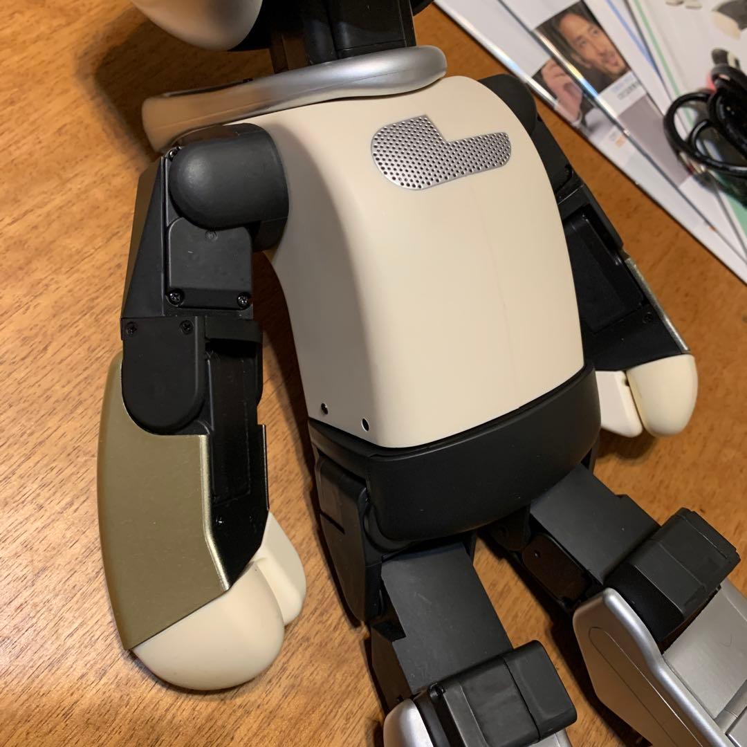 し*じ様 ロビ (ココロ2DX版)バッテリー不要、外部電源完動品 オーナー