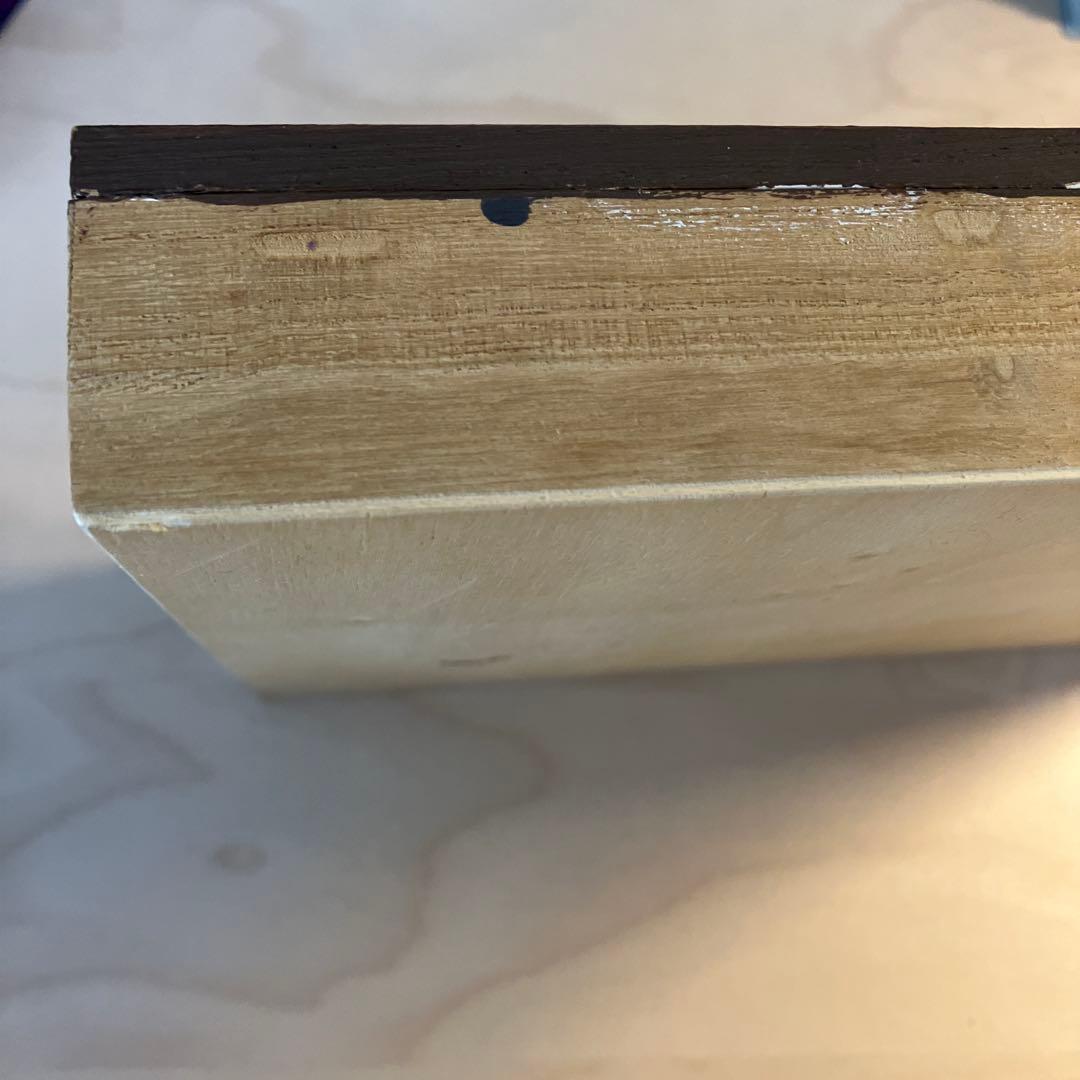 《子供手作り》SDGs作品 環境問題 手作り