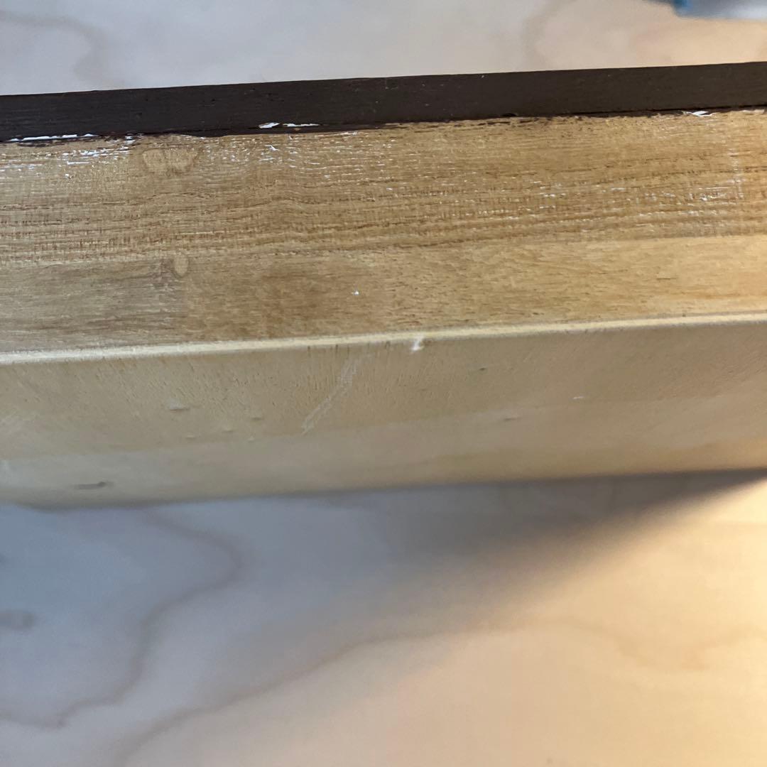 《子供手作り》SDGs作品 環境問題 手作り