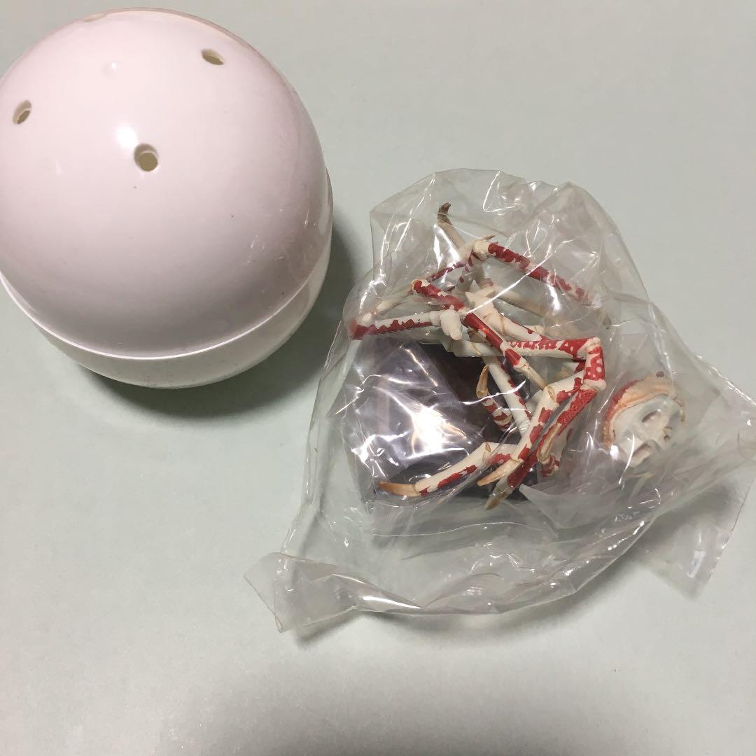 エルテ ブランコの少女 自筆サインとエディションナンバーが有ります