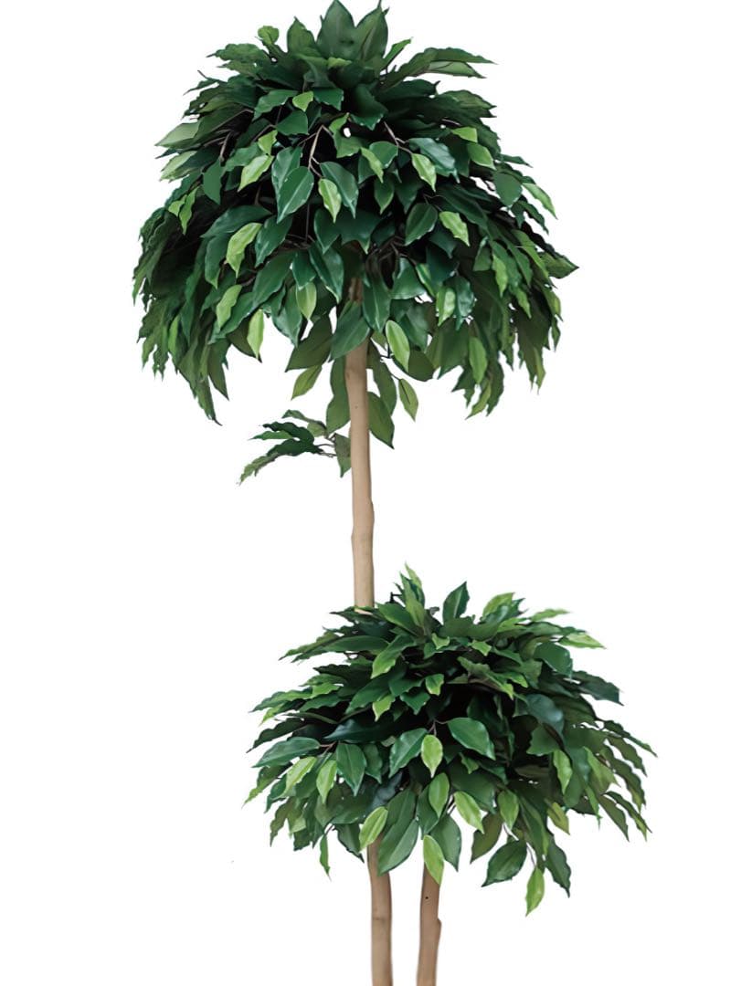 光触媒　人工観葉植物　フェイクグリーン　ベンジャミンダブル 1.8m