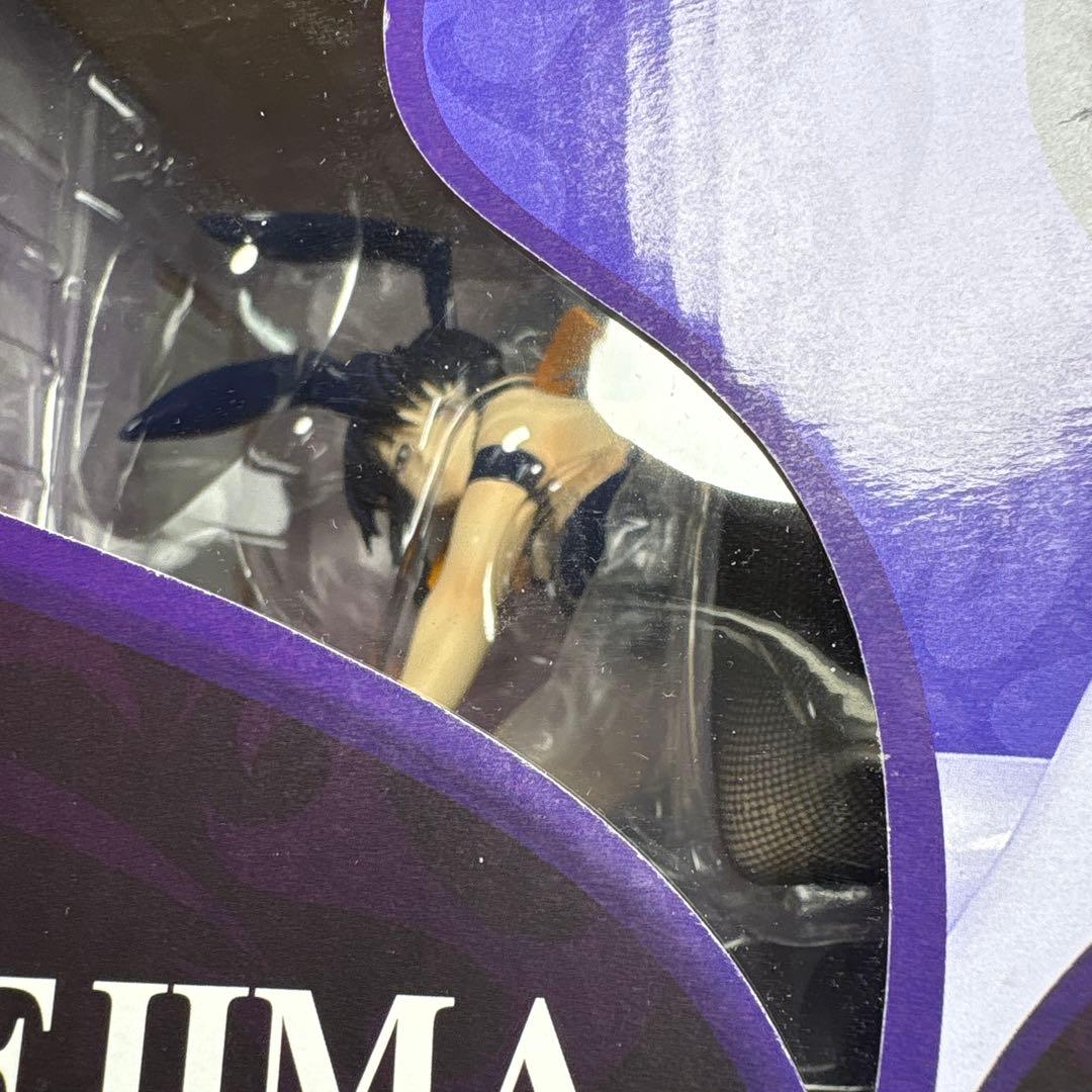 未開封貴重品ハイスクールD×D NEW 姫島朱乃 バニーVer. 1/4