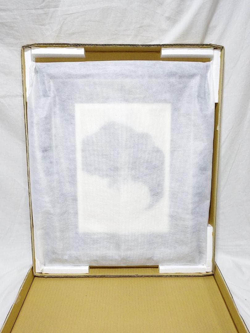 真作 天野喜孝 黒き翼 アールビバン株式会社 版画 絵画 100/50 直筆