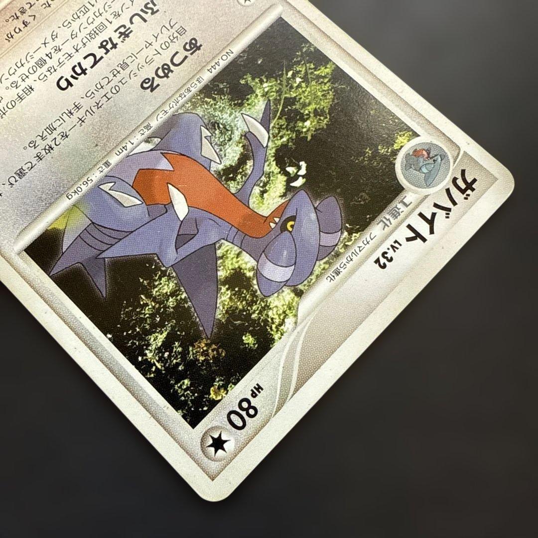 ガブリアス LV.X ガバイト フカマル 進化セット - メルカリ