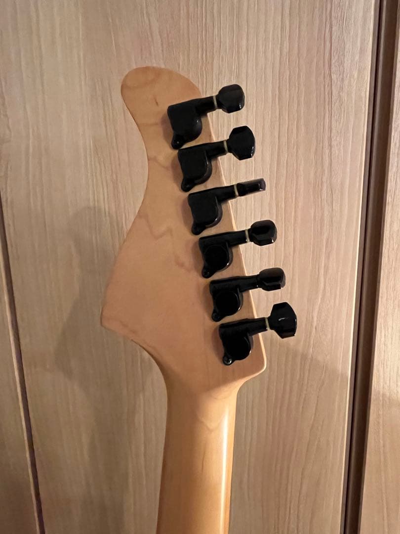 FERNANDES エレキギター 塗装欠けあり SSH仕様 ギグバッグ付き