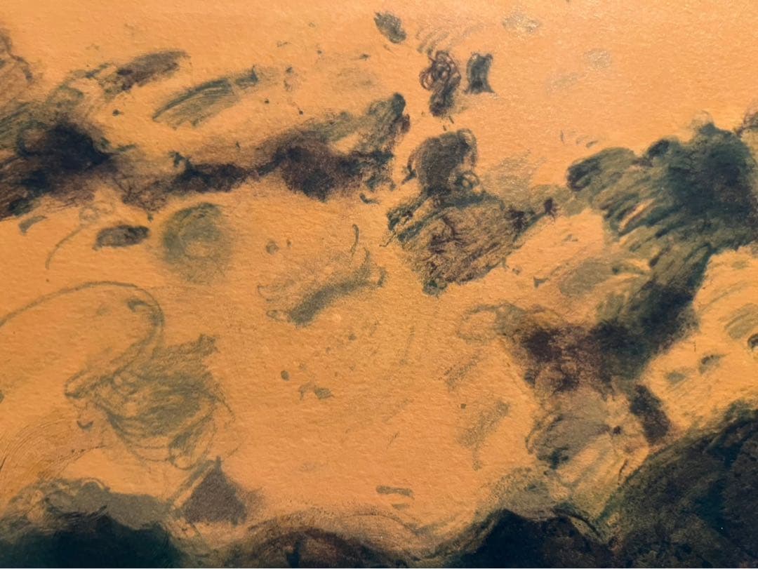 ジル・ゴリチ リトグラフ プロバンスのローズガーデン アート 額縁