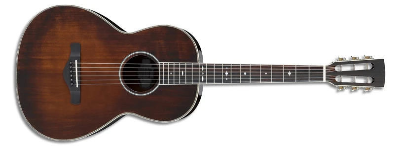 AVN10 | Ibanez Wiki | Fandom