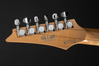 FR1620 | Ibanez Wiki | Fandom