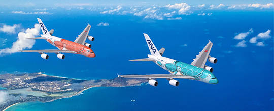 ANA】A380型機「FLYING HONU」で行くハワイ特集｜海外旅行のSTW