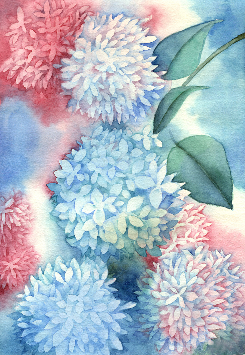 hydrangea -紫陽花-」という水彩画を描きました 色鮮やかなあじさいの