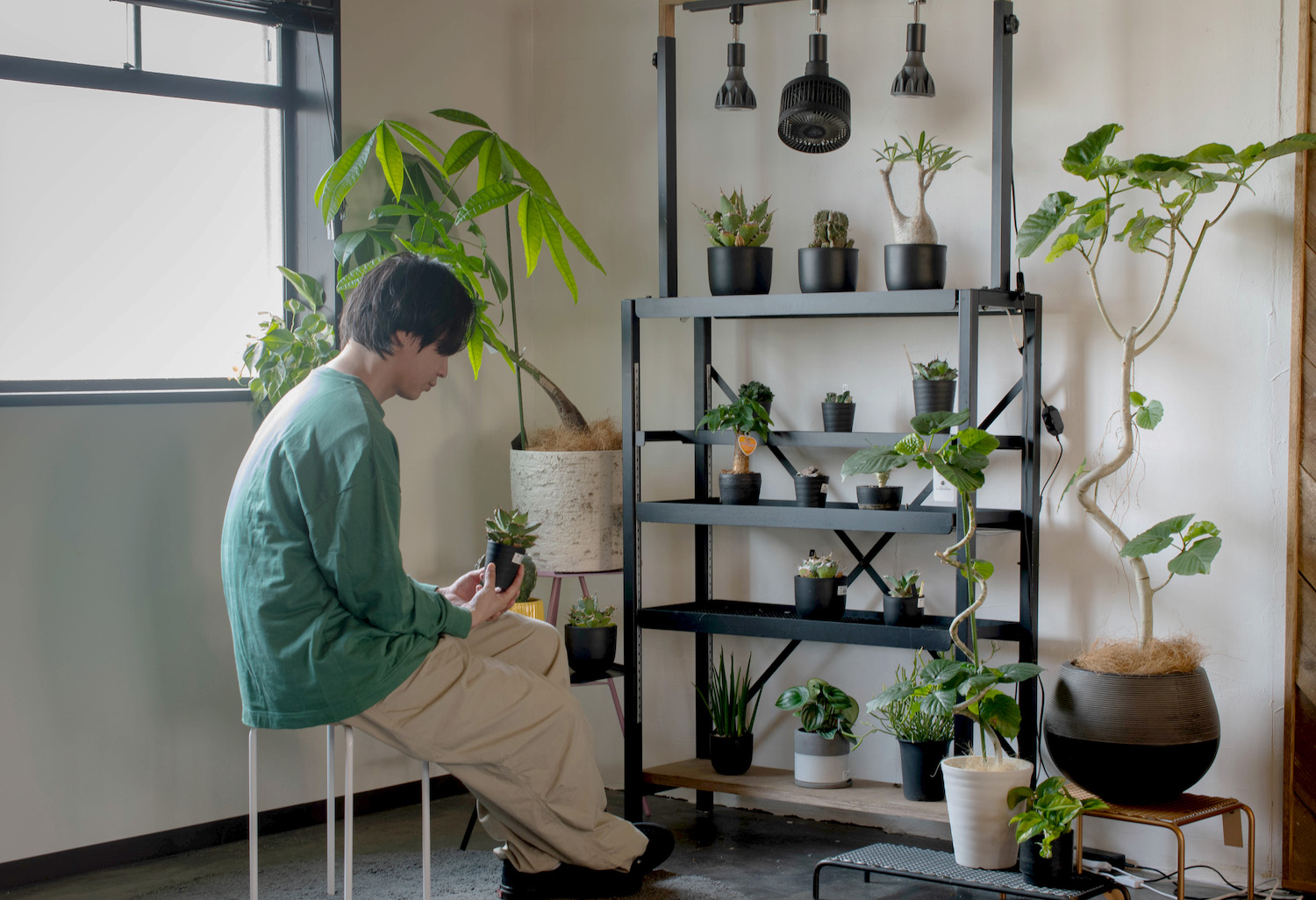 植物のある暮らしにおすすめの家具4選 | ブログ | 大阪堺・泉州の