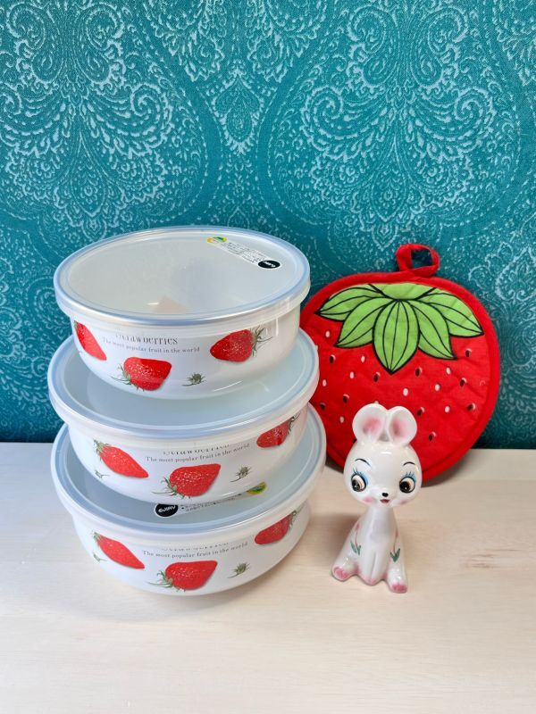 EJIRY エジリー ストロベリー柄ホーロー保存容器 蓋付 いちご 各種 HB51