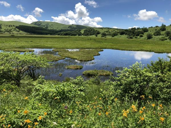 八島ヶ原湿原」(諏訪郡下諏訪町-湿原/池塘-〒393-0000)の地図/アクセス