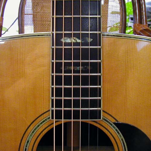 GUITAR SHOP COOL -S.Yairi Report-